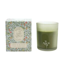 Sophia Lane Zest & Bloom Floral Candle - 100g in Green - thumbnail 2
