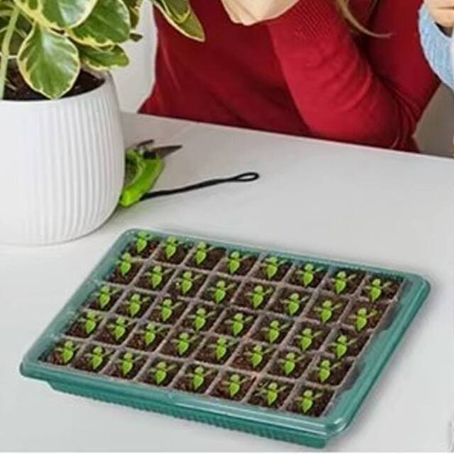 Ventryn 2 Pack 40-Cell Seed Starter Trays with Grow Light Propagator in Green - image 1