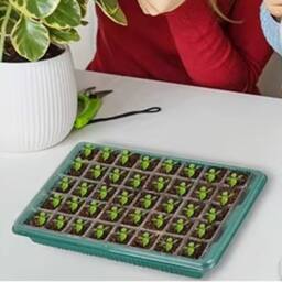 Ventryn 2 Pack 40-Cell Seed Starter Trays with Grow Light Propagator in Green