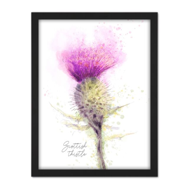 "Artery8 Wall Art Print Scottish Thistle Flower Head Watercolour Scotland Large Framed Wall Décor Art in White - Size: W18"" x H24""" - image 1