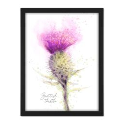 "Artery8 Wall Art Print Scottish Thistle Flower Head Watercolour Scotland Large Framed Wall Décor Art in White - Size: W18"" x H24""" - thumbnail 1