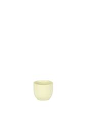 KDMD Matt Cream Hortus Cairo Pot 8x7cm 5 Pack - Size: 8x7 cm - thumbnail 1