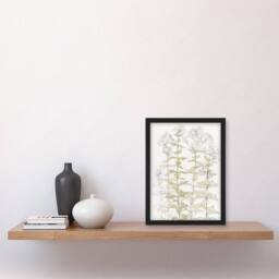 Artery8 Phlox Colour Sketch of Flowers Vintage Framed Wall Art Print Graag in White - Size: A4 - thumbnail 4