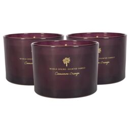 Nicola Spring 350g Cinnamon Orange Soy Candles - Pack of 3 - Double Wick Festive in Purple - thumbnail 1
