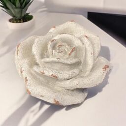 Minster Medium Decorative Flower Ornament - Resin - L15 x W15 x H7 cm - Beige - Size: 1 Pack - thumbnail 2