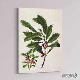 "Artery8 New Zealand Toropapa Flowering Plant Featon Canvas Wall Art Print in Beige - Size: W12"" x H16""" - thumbnail 2