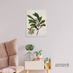 "Artery8 New Zealand Toropapa Flowering Plant Featon Canvas Wall Art Print in Beige - Size: W12"" x H16""" - thumbnail 3