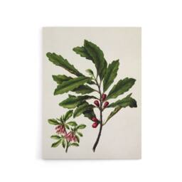 "Artery8 New Zealand Toropapa Flowering Plant Featon Canvas Wall Art Print in Beige - Size: W12"" x H16""" - thumbnail 1