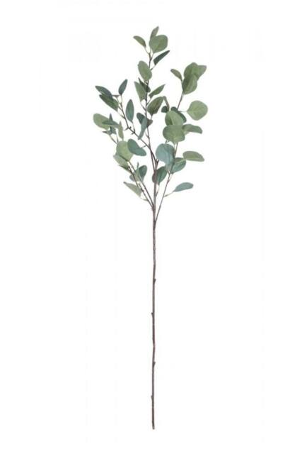 KDMD Single Eucalyptus Silver Dollar Stem 90cm 2 Pack in Green - image 1