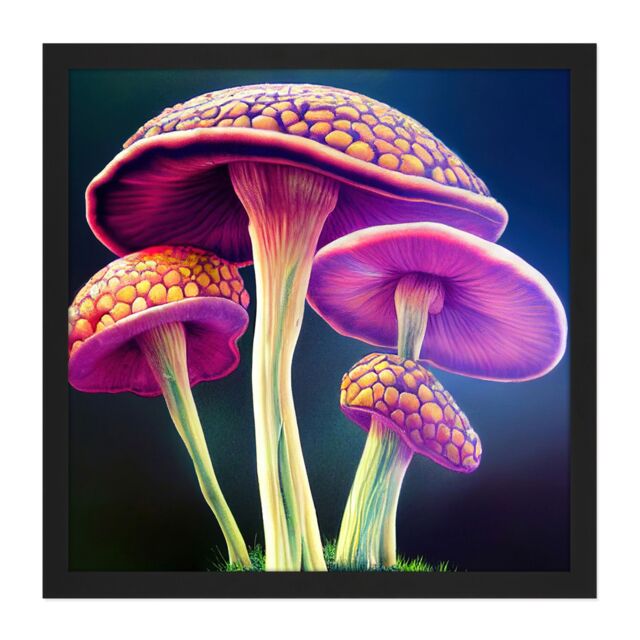 "Artery8 Wall Art Print Fantasy Magic Mushrooms Vibrant Colour Fungi Modern Square Framed Picture 16X16 Inch in Black - Size: W16"" x H16""" - image 1