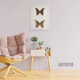 "Artery8 Promethea Silkmoth Male Sherman Denton Canvas Wall Art Print in White - Size: W12"" x H16""" - thumbnail 3