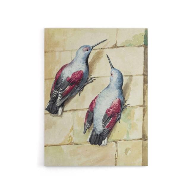 "Artery8 Two Wallcreepers Watercolour Painting Schouman Canvas Wall Art Print in Beige - Size: W12"" x H16""" - image 1
