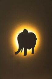 Marco Paul Set of Three Animal Elephant, Rhino & Giraffe Night Lights Wall Mounted LED Lamp in White - thumbnail 4