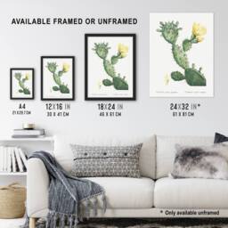 "Artery8 Opuntia Polyanthos Cactus Redoute Vintage Wall Art Print Poster in White - Size: W12"" x H16""" - thumbnail 3