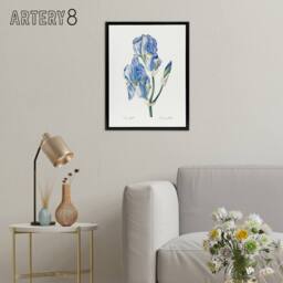 "Artery8 Iris Pallida Botanical Redoute Vintage Black Framed Canvas Wall Art in White - Size: W12"" x H16""" - thumbnail 3