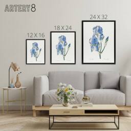 "Artery8 Iris Pallida Botanical Redoute Vintage Black Framed Canvas Wall Art in White - Size: W12"" x H16""" - thumbnail 4