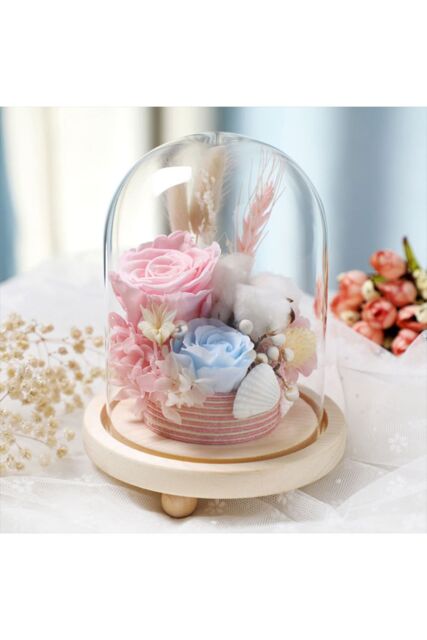 Living and Home 11cm W x 20cm H U-shaped Glass Cover in Clear - Size: 11 cm W x 20 cm H