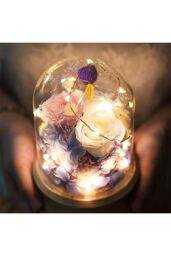 Living and Home 11cm W x 20cm H U-shaped Glass Cover in Clear - Size: 11 cm W x 20 cm H - thumbnail 2