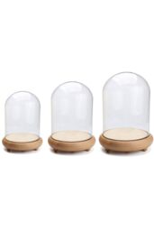 Living and Home 11cm W x 20cm H U-shaped Glass Cover in Clear - Size: 11 cm W x 20 cm H - thumbnail 5
