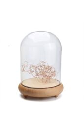 Living and Home 11cm W x 20cm H U-shaped Glass Cover in Clear - Size: 11 cm W x 20 cm H - thumbnail 4