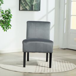 Artemis Home Valina Velvet Fabric Armless Accent in Grey - thumbnail 1
