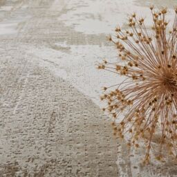 The Rug Shop UK Beige Abstract Modern Easy To Clean Ivory Area Rug - Size: 240 cm x 320 cm - thumbnail 3