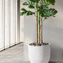 Wyld and Coco White Fibre Clay Round Plant Pot 46 x 46 x 46 cm Weather-Resistant - thumbnail 1