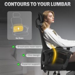 HOMCOM Mesh Ergonomic Office Chair with Lumbar Support, Headrest in Black - thumbnail 6