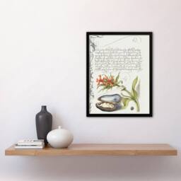 Artery8 Flower Mussel & Ladybird Calligraphy Framed Wall Art Print in White - Size: A4 - thumbnail 4