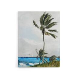 "Artery8 Palm Tree in Nassau Landscape Winslow Homer Canvas Wall Art Print - Size: W18"" x H24""" - thumbnail 1