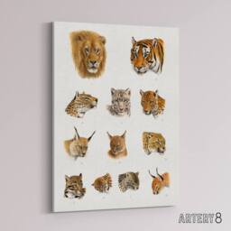 "Artery8 Wild Animal Safari Big Cats Illustration Lydekker Canvas Wall Art in White - Size: W18"" x H24""" - thumbnail 2