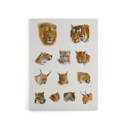 "Artery8 Wild Animal Safari Big Cats Illustration Lydekker Canvas Wall Art in White - Size: W18"" x H24""" - thumbnail 1