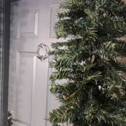 Samuel Alexander 2.4m (8ft) Tall Single Door Indoor Christmas Tree Arch in Green - thumbnail 3