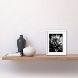 "Artery8 Wall Art Print Macro Close Up Dahlia Flower Black & White Photo Artwork Framed 9X7 Inch - Size: W7"" x H9""" - thumbnail 2