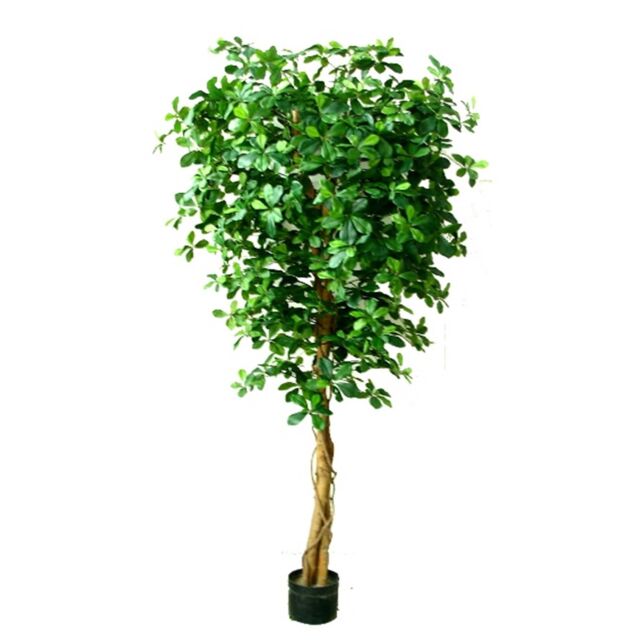 Leaf Large Artificial Olive Tree with 2925 Leaves 180cm Fire Retardant Commercial Use in Green - image 1