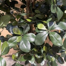 Leaf Large Artificial Olive Tree with 2925 Leaves 180cm Fire Retardant Commercial Use in Green - thumbnail 6