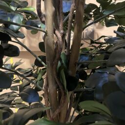 Leaf Large Artificial Olive Tree with 2925 Leaves 180cm Fire Retardant Commercial Use in Green - thumbnail 7