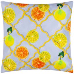 Wylder Citrus Trellis Printed Outdoor Cushion in Blue - Size: 45 cm x 45 cm - thumbnail 2