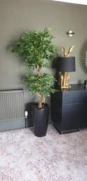 Leaf Artificial Japanese Fruticosa Tree Twisted Ficus 150cm UK in Green - thumbnail 4