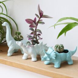 Lisa Angel Green Diplodocus Dinosaur Planter H8cm in Light Green - thumbnail 2