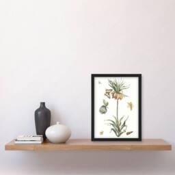Artery8 Keizerskroon Tulip & Butterfly Teyler Framed Wall Art Print in White - Size: A4 - thumbnail 2