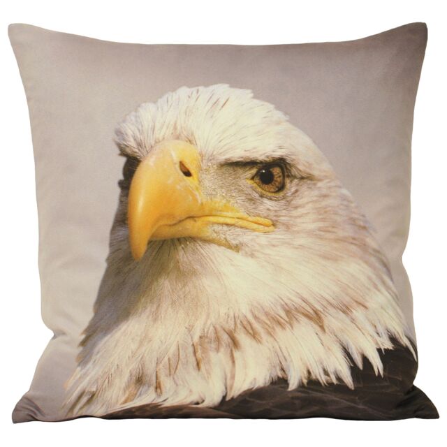 Paoletti Animal Eagle Photographic Print Cushion in Grey - Size: 45 cm x 45 cm
