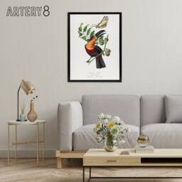 "Artery8 Paul Gervais Toucan & Butterfly Vintage Illustration Framed Canvas Art in White - Size: W12"" x H16""" - thumbnail 3