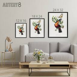 "Artery8 Paul Gervais Toucan & Butterfly Vintage Illustration Framed Canvas Art in White - Size: W12"" x H16""" - thumbnail 4