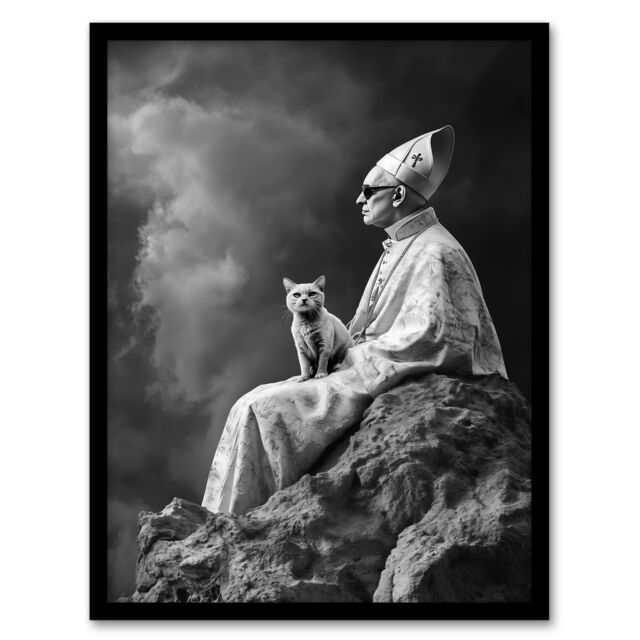 "Artery8 Cat Lover Pope Sunglasses Black White Surreal Framed Art Print in Grey - Size: W12"" x H16""" - image 1
