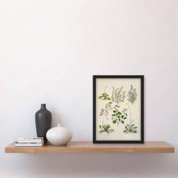 Artery8 Sarah Featon Framed Wall Art Native New Zealand Wildflowers Illustration in Beige - Size: A4 - thumbnail 2