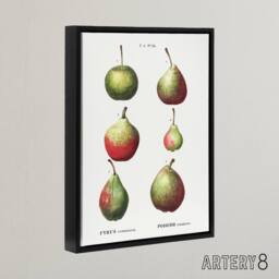 "Artery8 Pear Fruit Varieties Redoute Vintage Black Framed Canvas Wall Art in White - Size: W18"" x H24""" - thumbnail 2