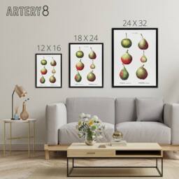 "Artery8 Pear Fruit Varieties Redoute Vintage Black Framed Canvas Wall Art in White - Size: W18"" x H24""" - thumbnail 4