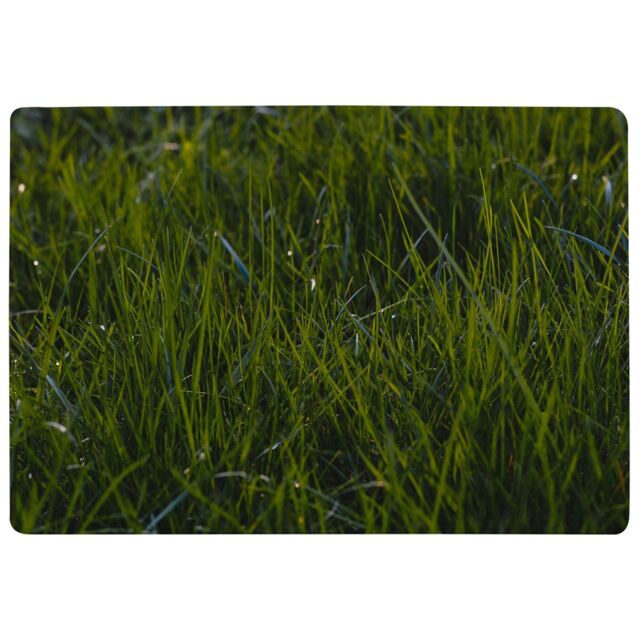 Benjamin Tate Design Fresh Green Grass Background, Natural Grass Designer Rug - Size: Large - image 1