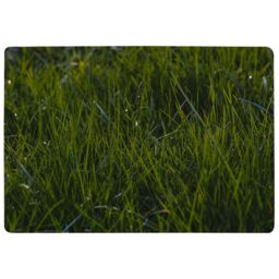 Benjamin Tate Design Fresh Green Grass Background, Natural Grass Designer Rug - Size: Large - thumbnail 1